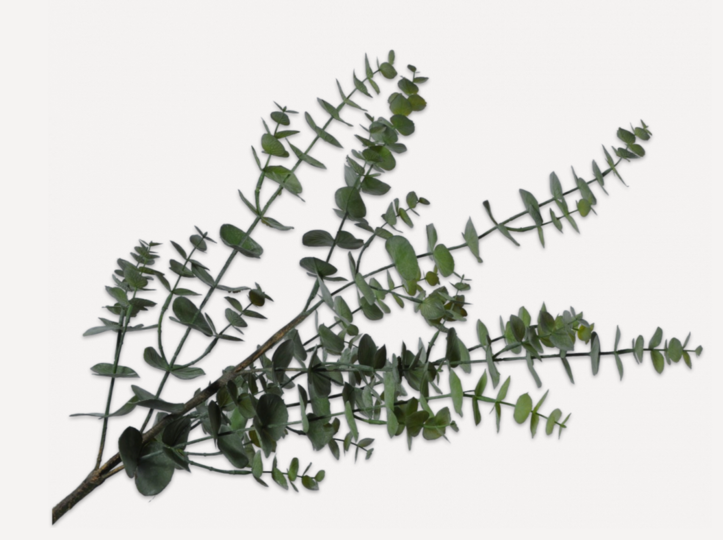 Eucalyptus Spray Green 143 cm