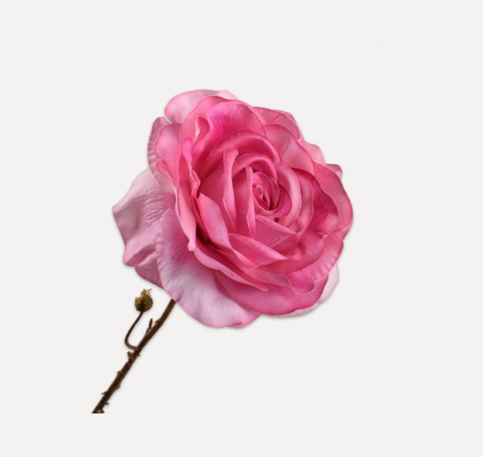 Rose Stem Fuchsia 72 cm