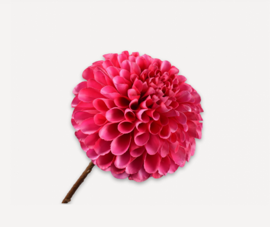 Dahlia Stem Fuchsia 64 cm