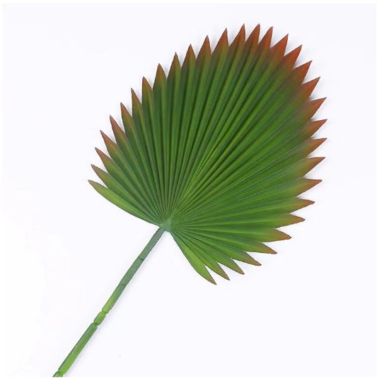 Palm Leaf Green 96 cm